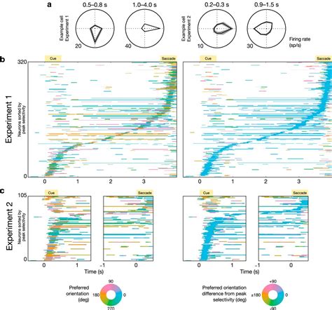 Stable And Dynamic Coding For Working Memory In Primate Prefrontal