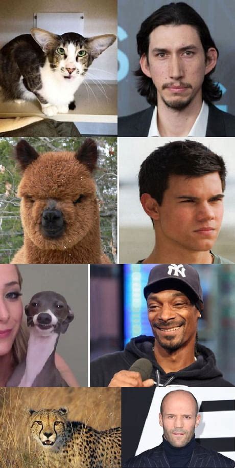 People Who Look Like Animals