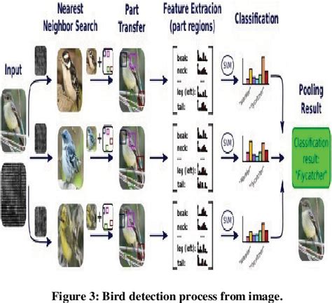 Table 1 From Bird Species Identification Using Deep Learning On Gpu