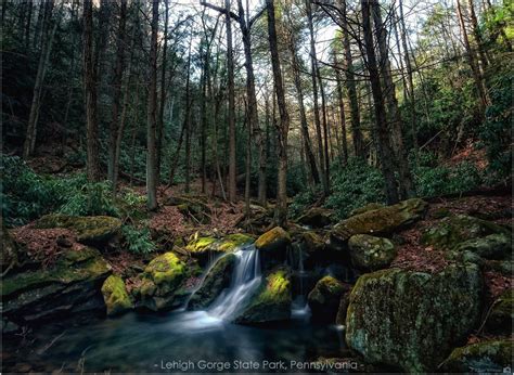 Wallpaper Trees Leaves Waterfall Nature Park Outdoors Moss