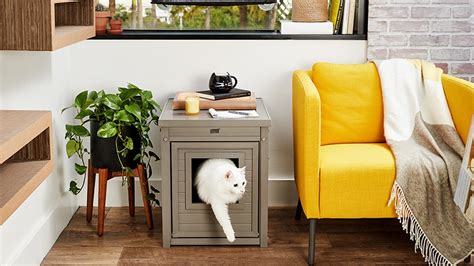 Cat Friendly Apartments How To Make The Most Of A Small Space