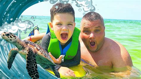 Caleb And Daddy Play In The Ocean With Sea Turtles And Crabs Caleb