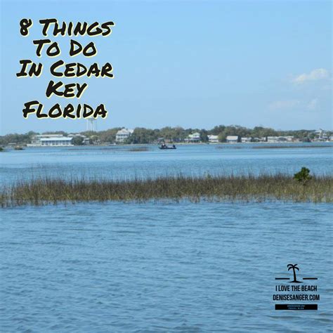 8 Things To Do In Cedar Key Florida Travel For Women 50 Everything