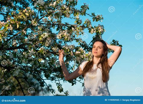 Beautiful Woman In Blossoming Apple Trees Stock Image Image Of Nature Brunette 119090945