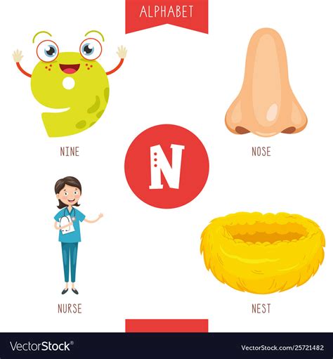 Alphabet Letter N And Pictures Royalty Free Vector Image