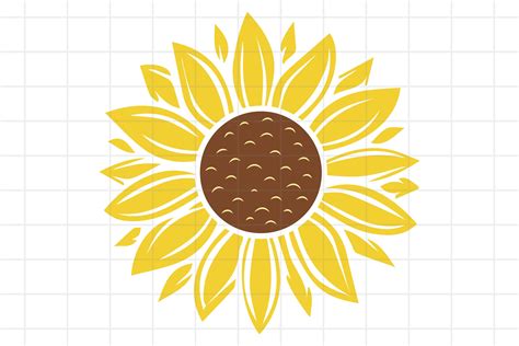 Sunflower SVG and PNG cut file for Cricut (656819) | Cut Files | Design