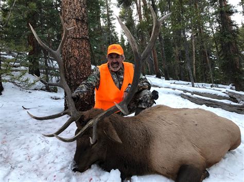 Colorado Rifle Elk Hunting Guided Rifle Elk Hunts Colorado