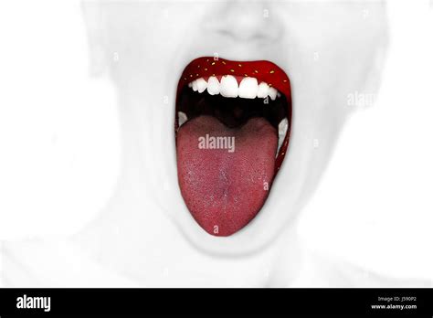 Woman Women Mouth Teeth Tongue Face Lips Fruit Strawberry Mouthes Red