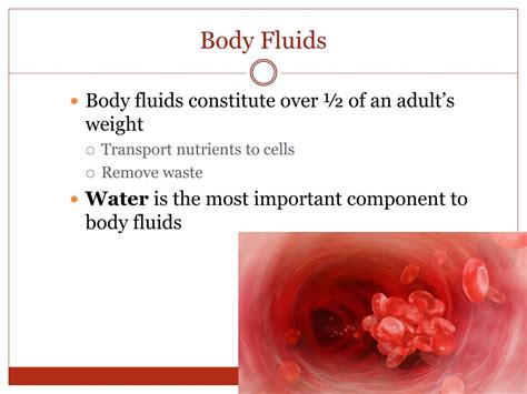 Ppt Blood And Other Fluids Powerpoint Presentation Free Download