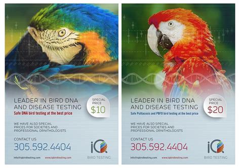 Our Laboratory Offers The Best Service In Dna Gender Testing For Birds