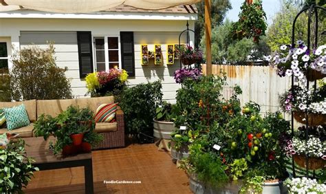 Grow A Container Vegetable Garden On Your Patio Tips