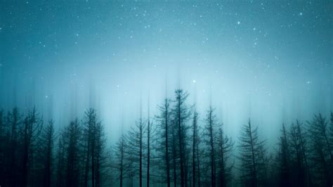 Download Wallpaper 3840x2160 Trees Pines Starry Sky Night Blur 4k