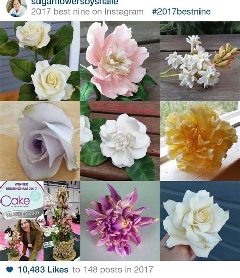 We did not find results for: Thanks to everyone following and liking my flowers from ...