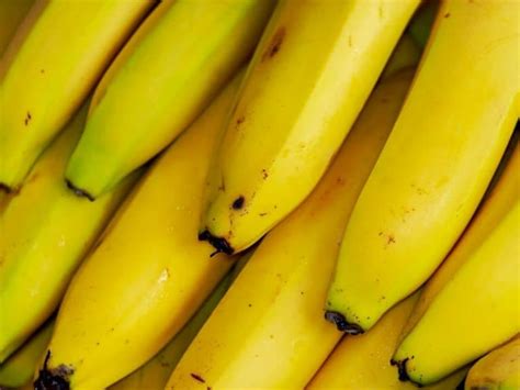 Plantain Vs Banana Know The Difference Northern Nester