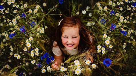 Uśmiech Rumianki Łąka Kwiaty Dziewczynka Chabry Na Pulpit