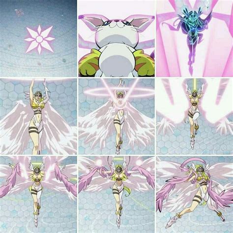 Gatomon Digimon Wallpaper Digimon Adventure Digimon Tamers Digimon Digital Monsters All
