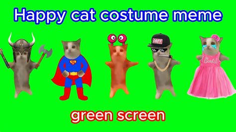 Happy Cat Meme Green Screen No Copyright Free To Use Youtube