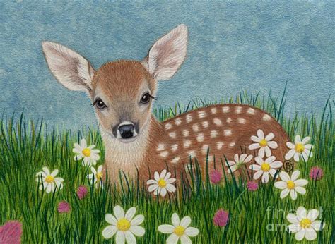 Whitetail Fawn Hiding In The Flowers Painting By Sherry Goeben Fine