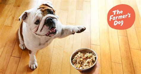 It's about recognizing that no natural digestive system — human, dog, or otherwise — is suited to highly processed food. Fresh Human-Grade Dog Food Delivery | The Farmer's Dog