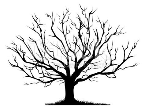Bare Oak Tree Silhouette At Getdrawings Free Download
