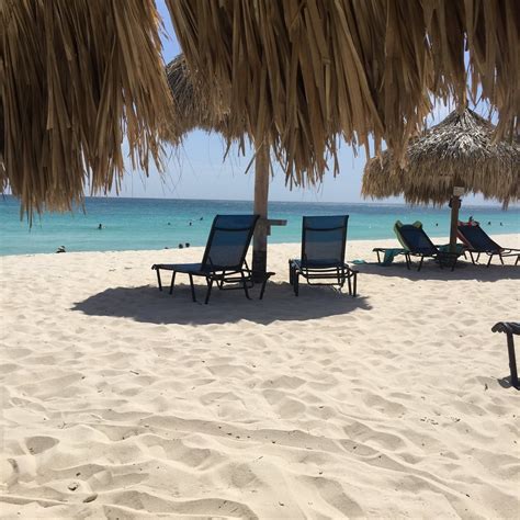 Divi Beach Oranjestad All You Need To Know Before You Go