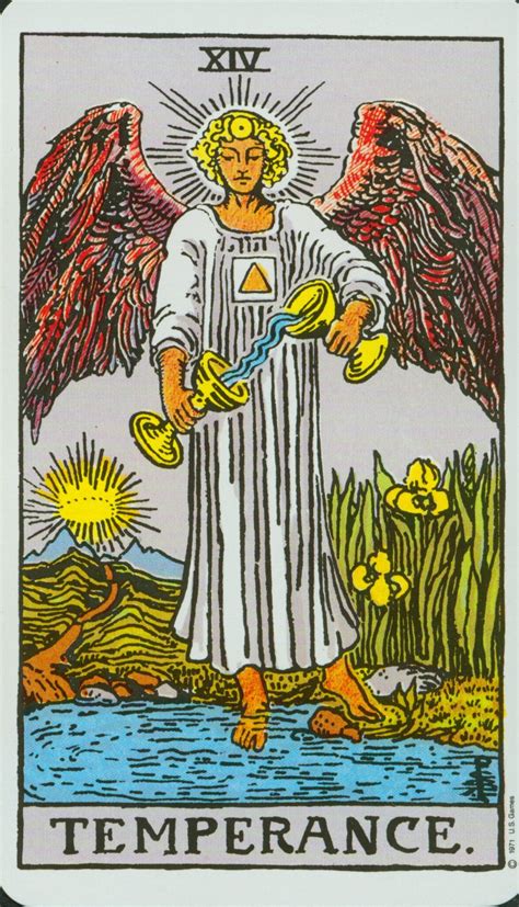 If you have been having relationship problems, temperance is an indicator that you will both resolve whatever issues have been holding your relationship back in order to move forward together. Tarot Wonderland: DAILY DRAW: Temperance