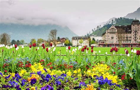 8 Top Tourist Attractions In Interlaken And Easy Day Trips Planetware
