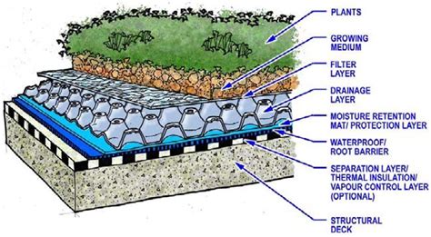 6 Basic Components Of A Green Roof System Intensive And Extensive
