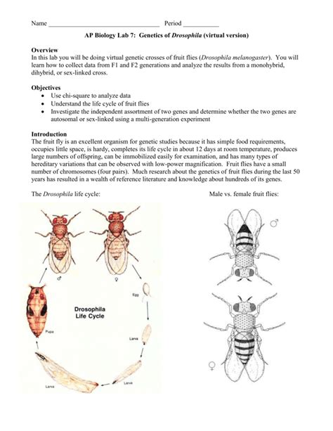 In 1865, gregor mendel published a paper on the patterns of genetic inheritance in the common garden pea. AP Biology Lab 7: Genetics of Drosophila (virtual version)