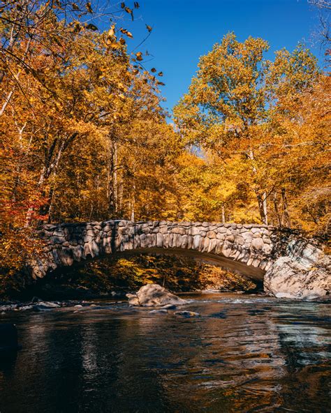 Photos Of Fall Colors In Rock Creek Park Dc Foliage Guide