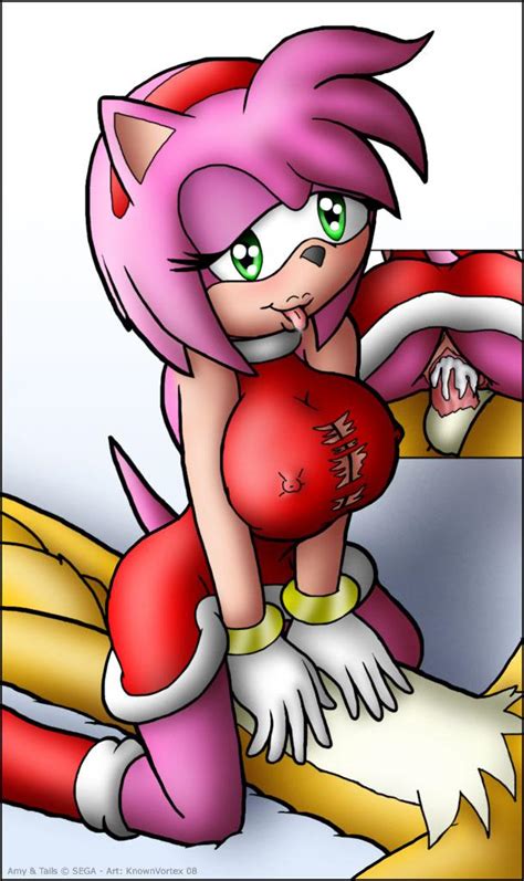Rule 34 Amy Rose Anthro Canine Clothes Cowgirl Position