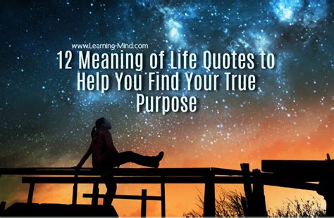 12 Meaning of Life Quotes to Help You Find Your True Purpose - Learning ...