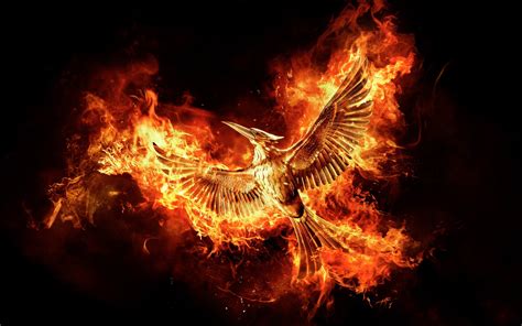 1920x1200 The Hunger Games Mockingjay Part 2 Movie 1080p Resolution Hd