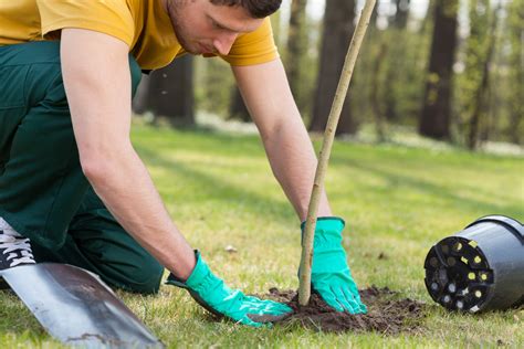 How To Hire A Landscaper