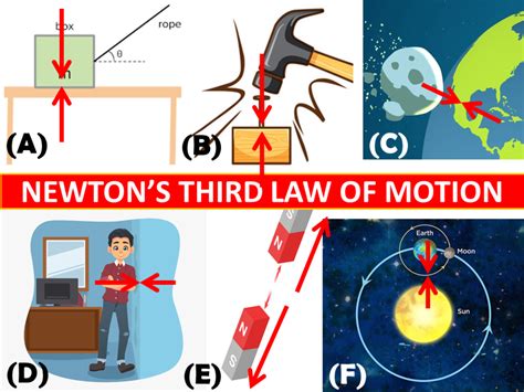 Examples Of The Third Law Of Newton