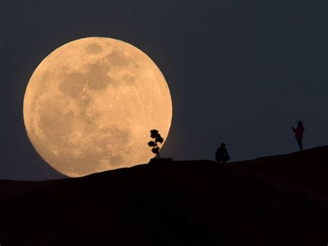 Mldspot Seluruh Wilayah Indonesia Bisa Saksikan Gerhana Bulan Total