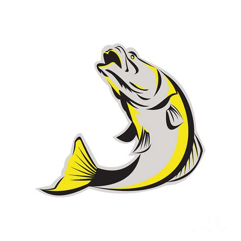 Barramundi Fish Jumping Up Isolated Retro Digital Art By Aloysius