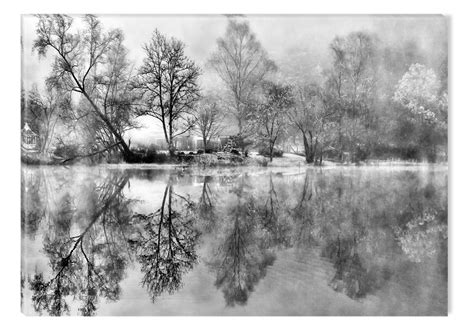 Startonight Canvas Wall Art Black And White Abstract Trees Over The