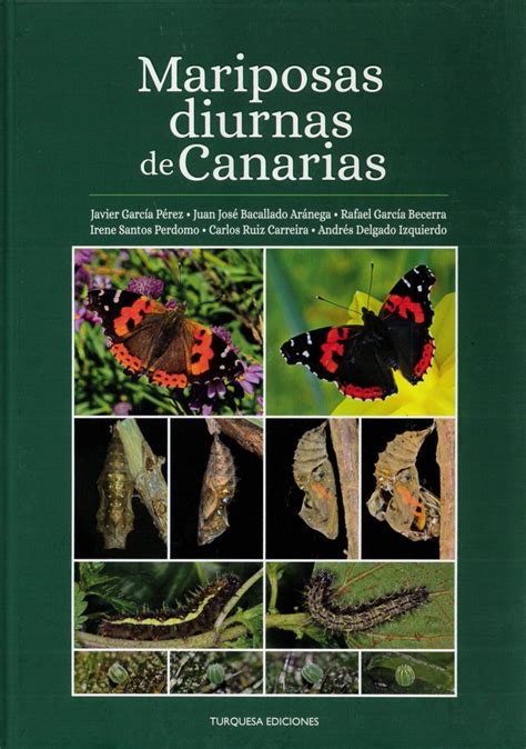 Mariposas Diurnas De Canarias Butterflies Of The Canary Islands