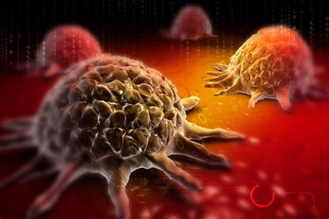 As a consequence of all the above behaviors, they often fail to dwell in. Physicists Awarded NSF Grant to Study Cancer-Cell Behavior ...
