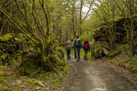 Hiking Through The Forest Near Dolwyddelan Snowdonia Mattlowes