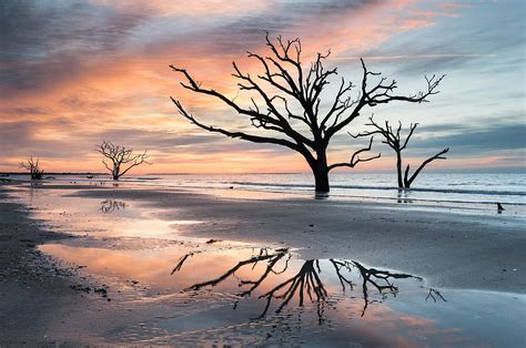 A Moment Of Reflection Charlestons Botany Bay Boneyard Beach