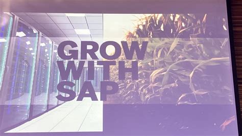 Sap Goes After Sas Smb Market With Launch Of Grow Platform Itweb
