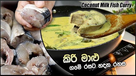 කිරි මාළු ගමේ රසට හදන රහස Coconut Milk Fish Curry Kirimalu
