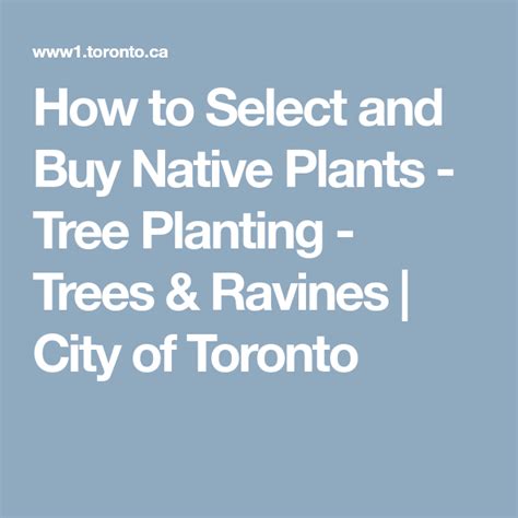 How To Select And Buy Native Plants Tree Planting Trees And Ravines