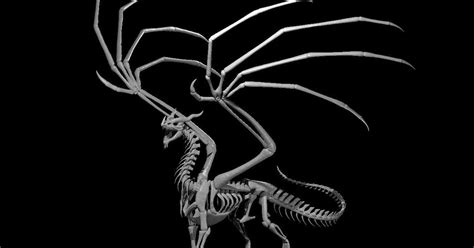 Dragon Skeleton By Mz4250 Download Free Stl Model