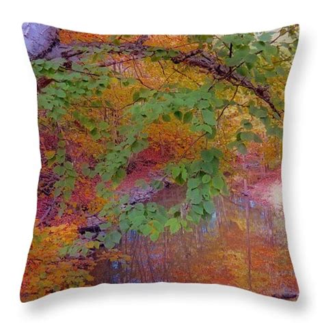 Reflections Of Autumn Throw Pillow For Sale By Kay Novy