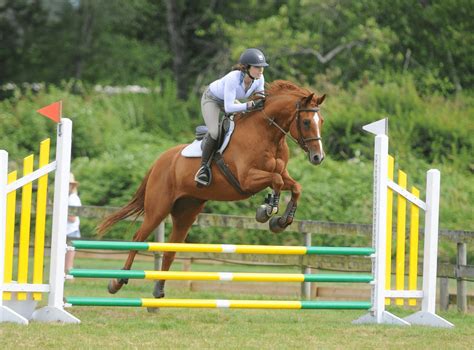 Horse Show Jumping A Complete Beginners Guide