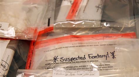 Fentanyl Overdose Cant Happen By Just Touching The Drug Experts Say
