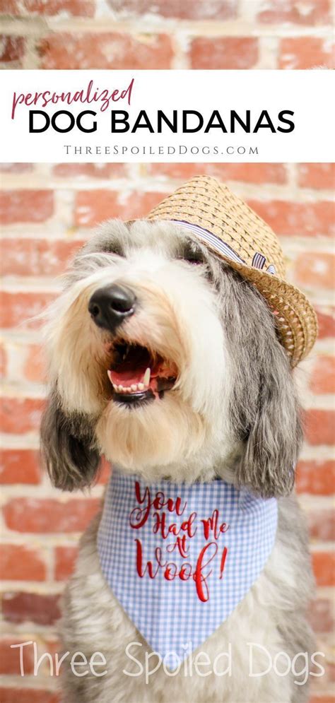Get detailed goldendoodle facts, health, history, appearance, temperament, and maintenance groodle, curly golden, curly retriever, goldenoodle, goldenpoo. Delicate Dog Costumes Goldendoodle #dogwalking # ...
